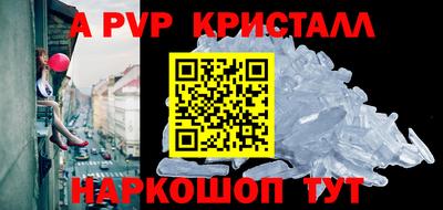 сатива Кингисепп