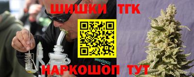 сатива Кингисепп