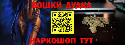 сатива Кингисепп