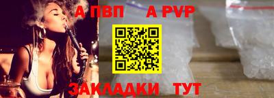 сатива Кингисепп