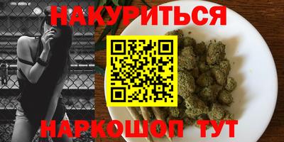сатива Кингисепп